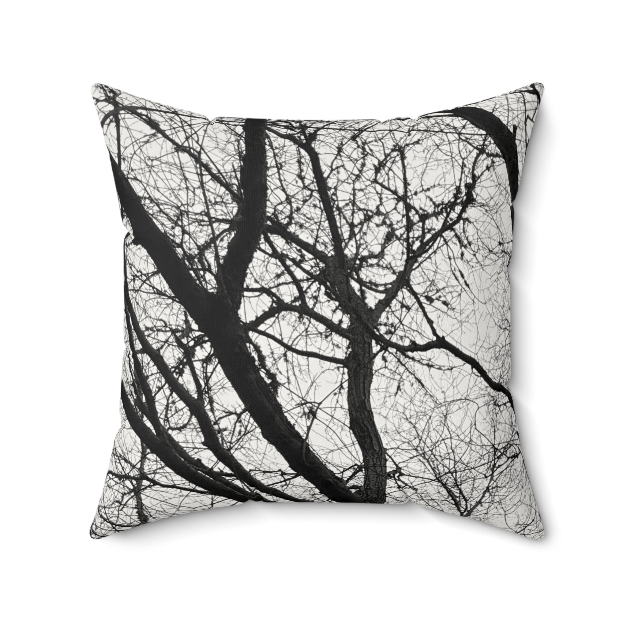 Black and White Smooth Art Pillow