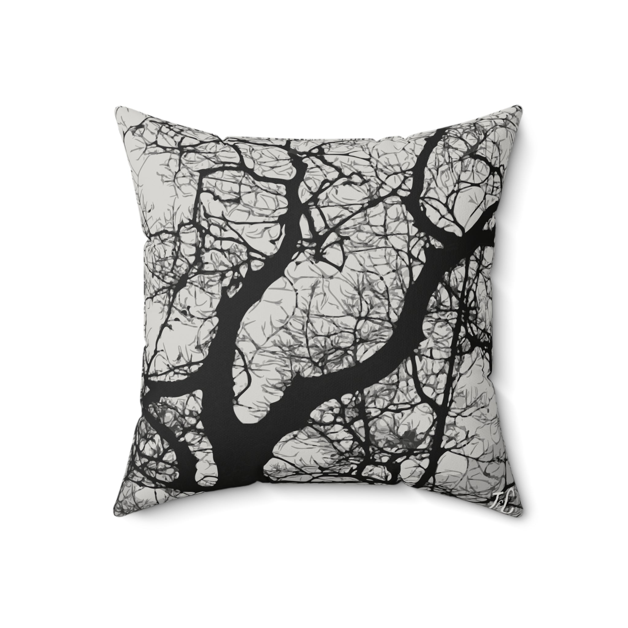 Black and White Winter Oak Polished