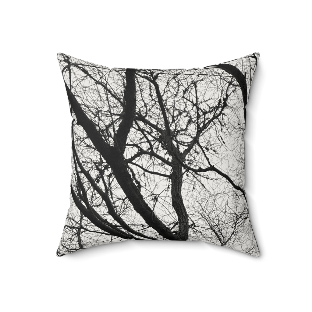 Black and White Winter Oak Polished