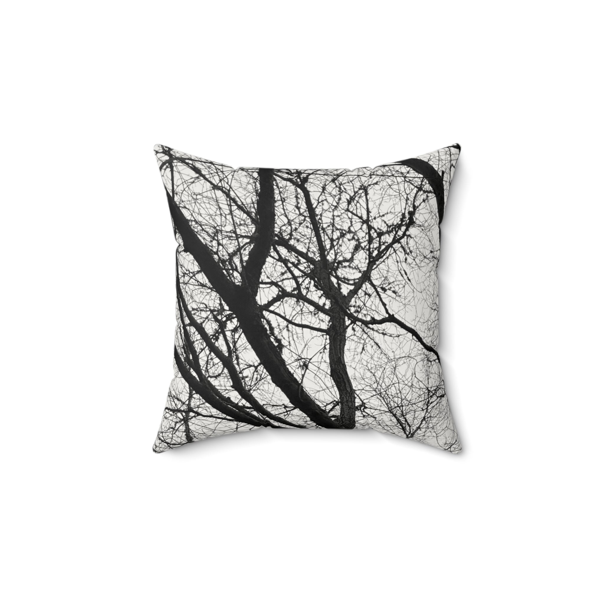 Black and White Winter Oak Polished