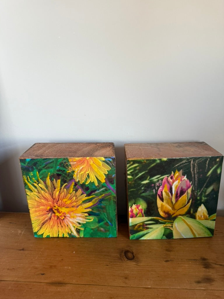 Dandy Dandelion Woodblock Painting- SOLD- PREORDER AVAILABLE!