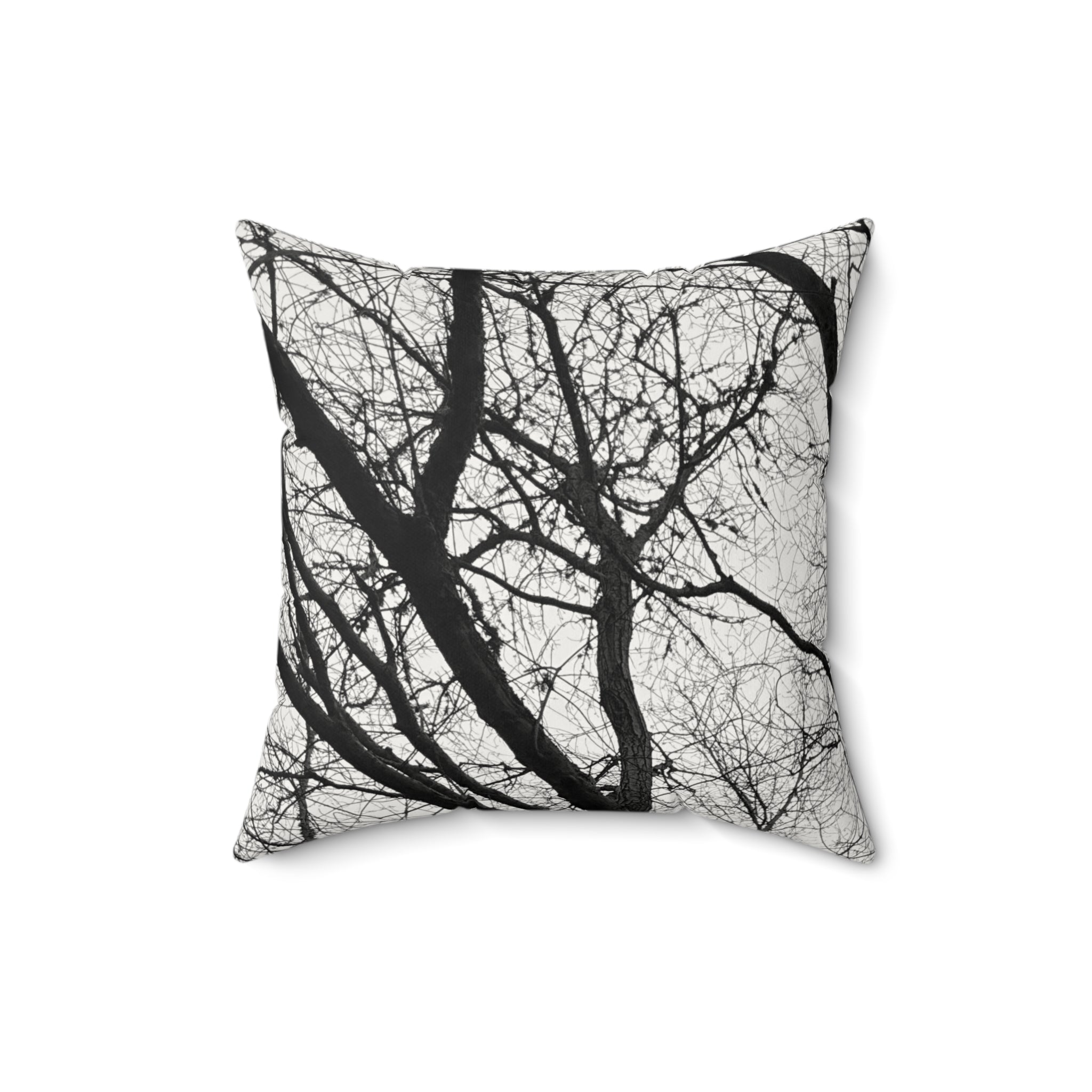 Black and White Smooth Art Pillow