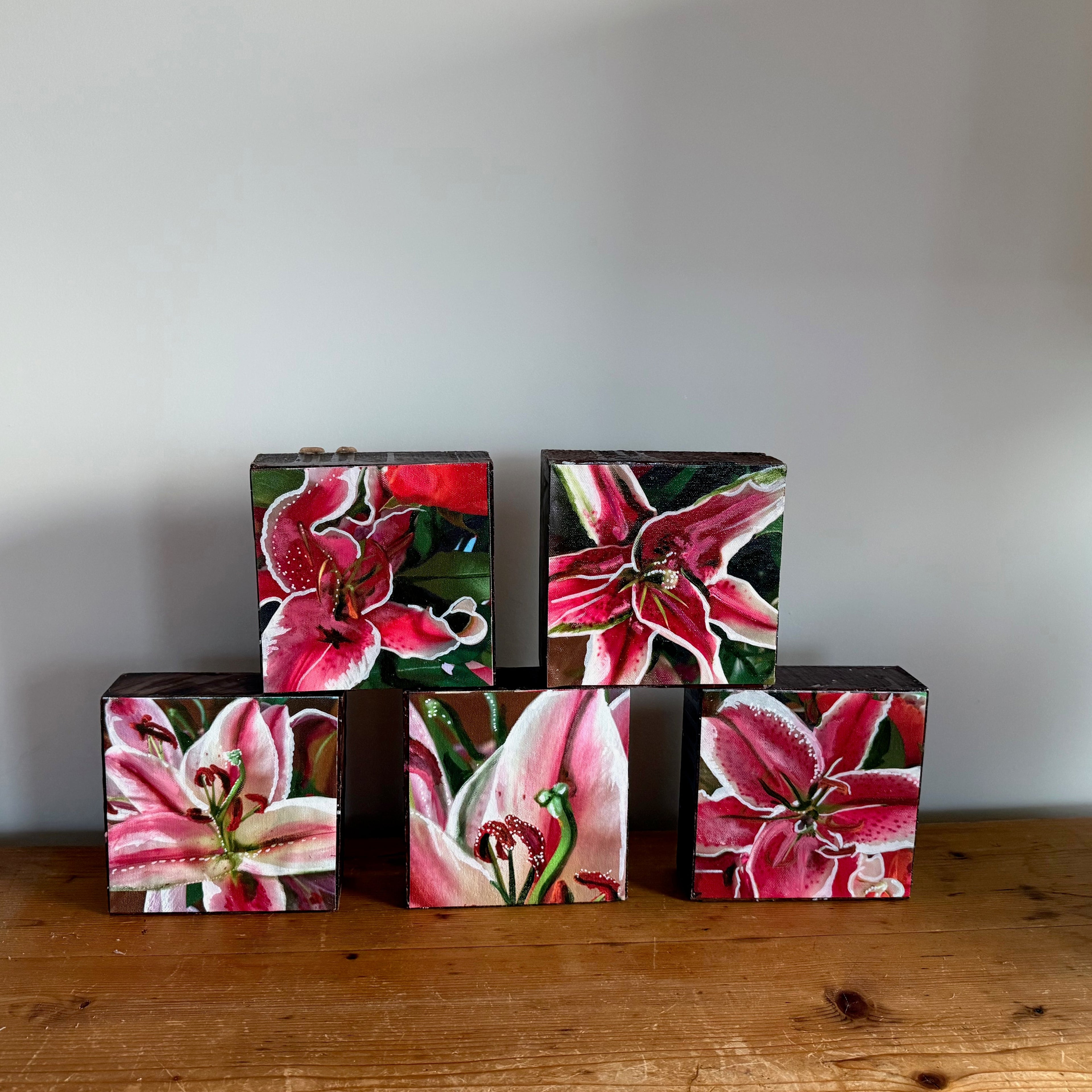 The Lily Series- buy the entire stackable set!