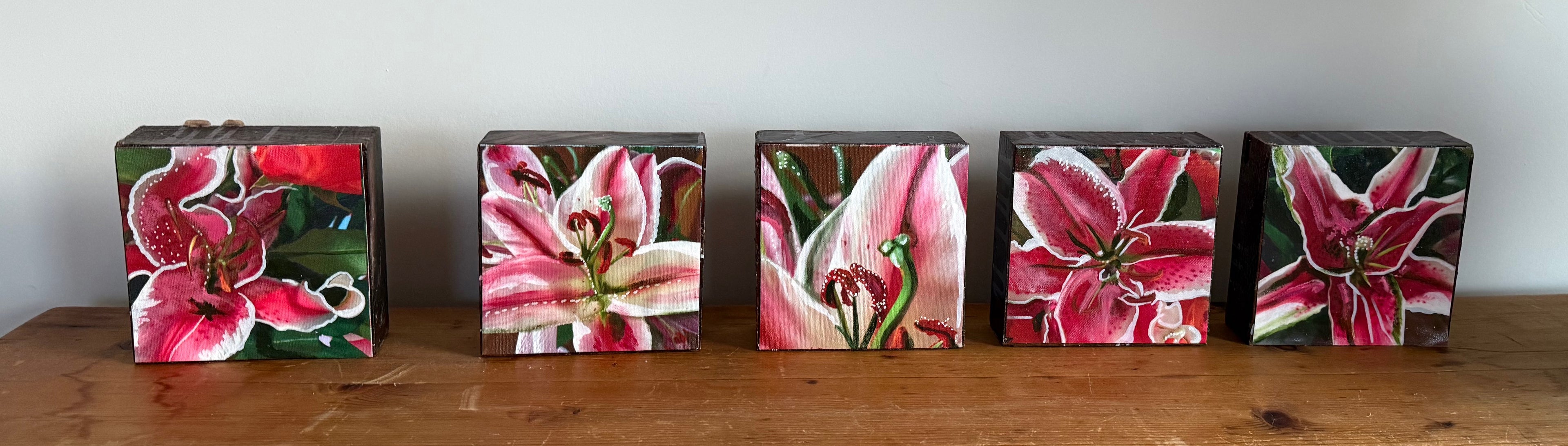 The Lily Series- buy the entire stackable set!