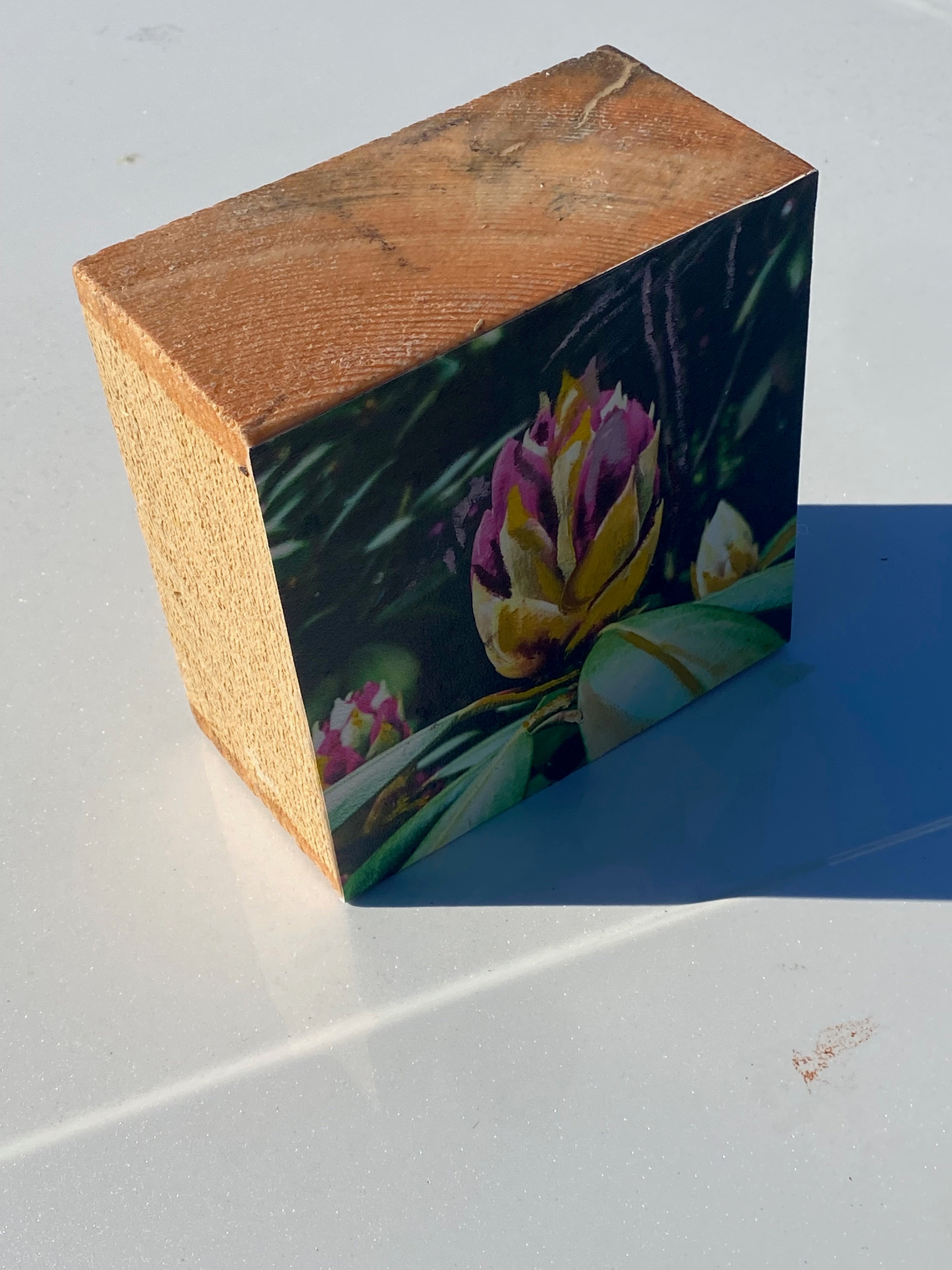 Long Island's Queen: Azalea Woodblock Painting