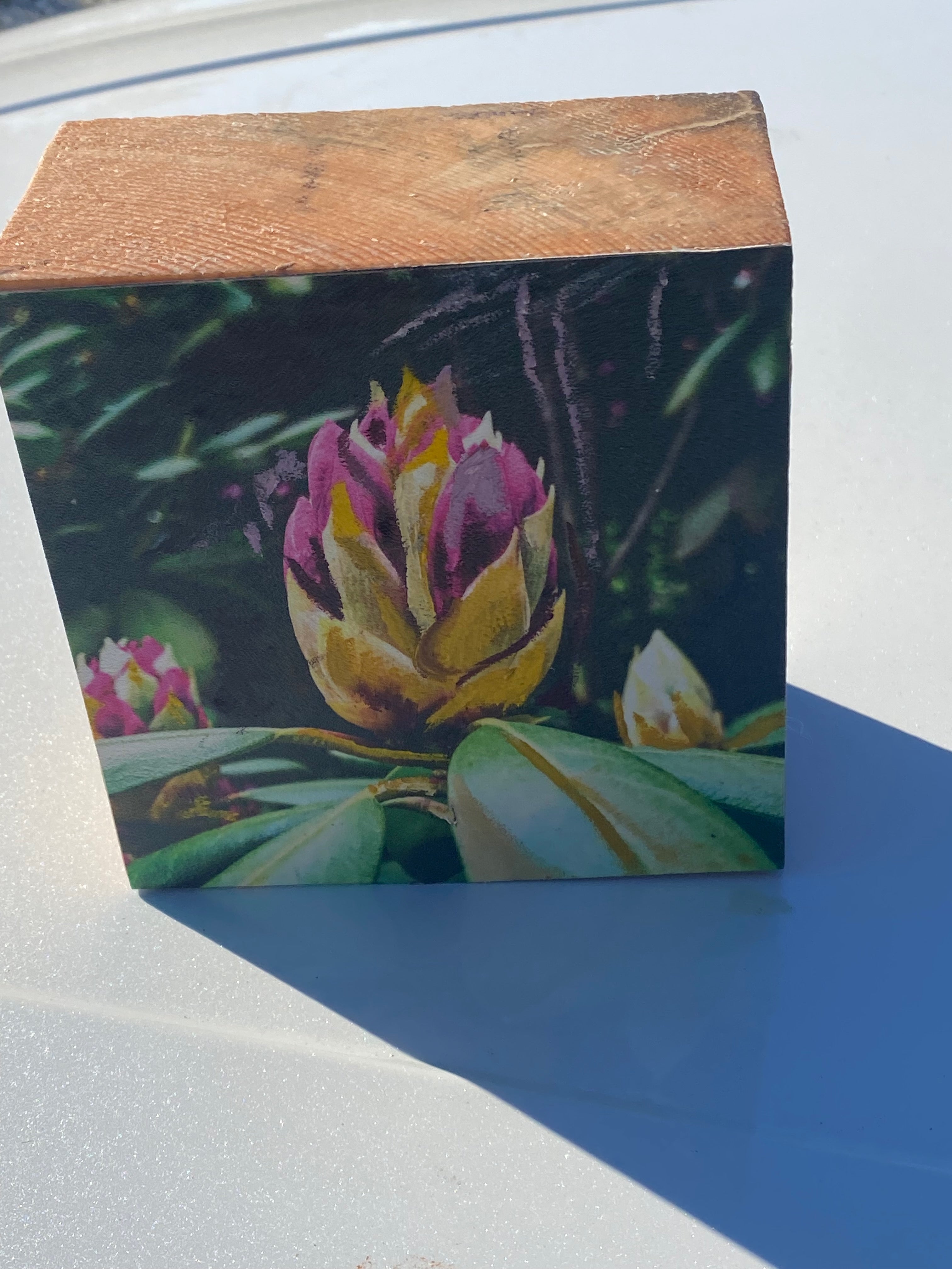 Long Island's Queen: Azalea Woodblock Painting