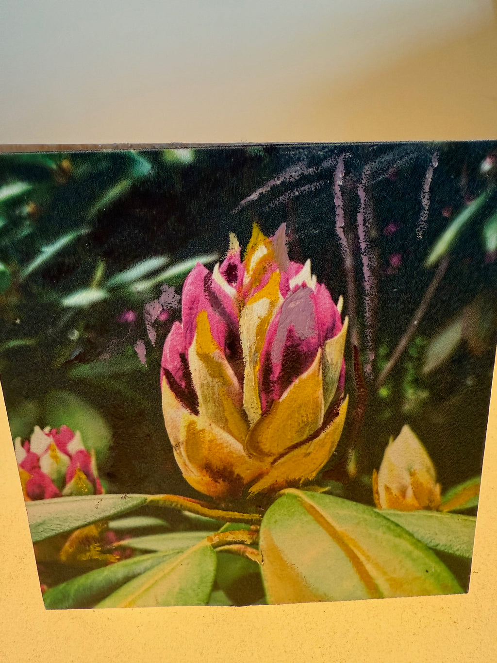 Long Island's Queen: Azalea Woodblock Painting