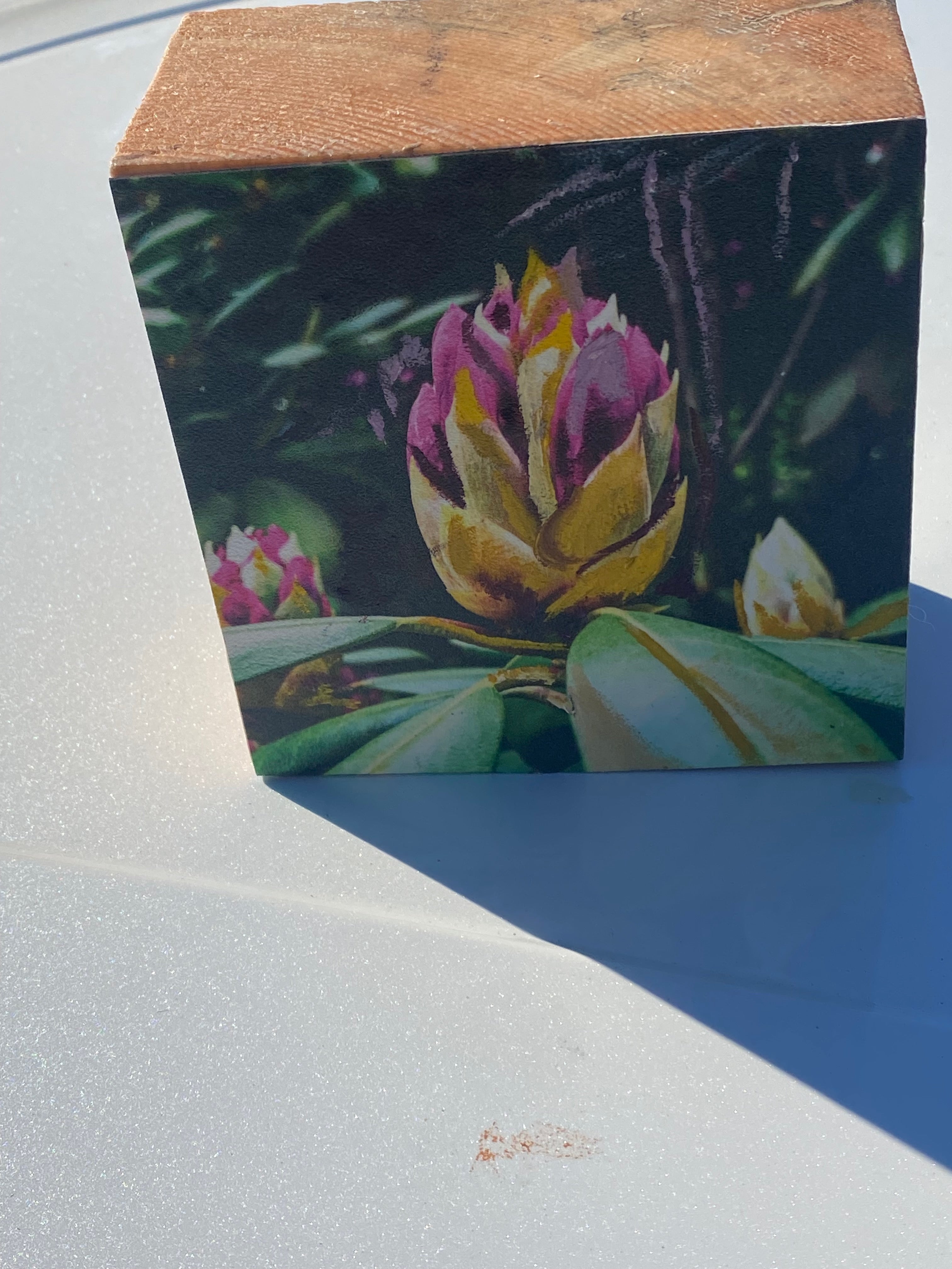 Long Island's Queen: Azalea Woodblock Painting