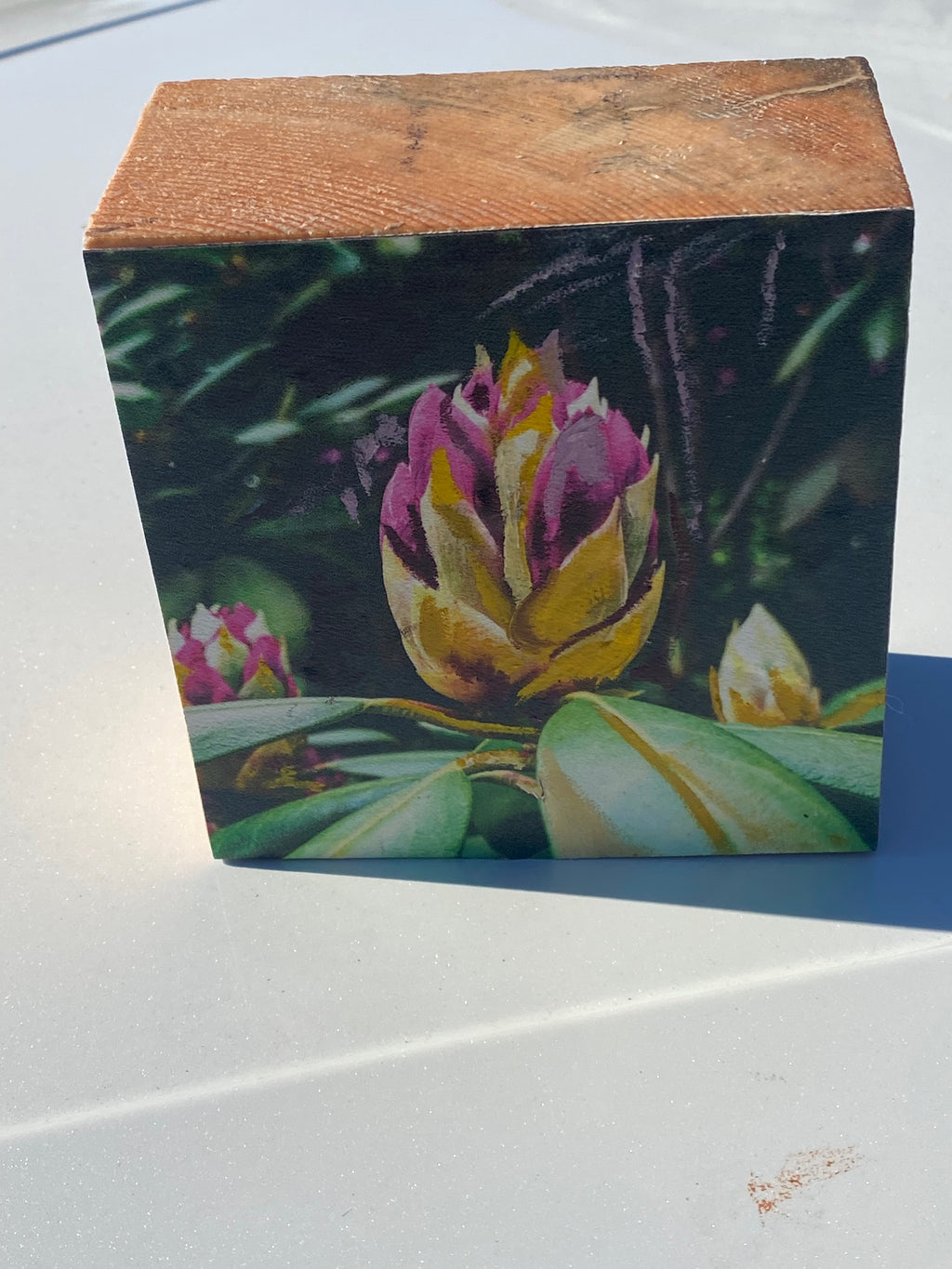 Long Island's Queen: Azalea Woodblock Painting