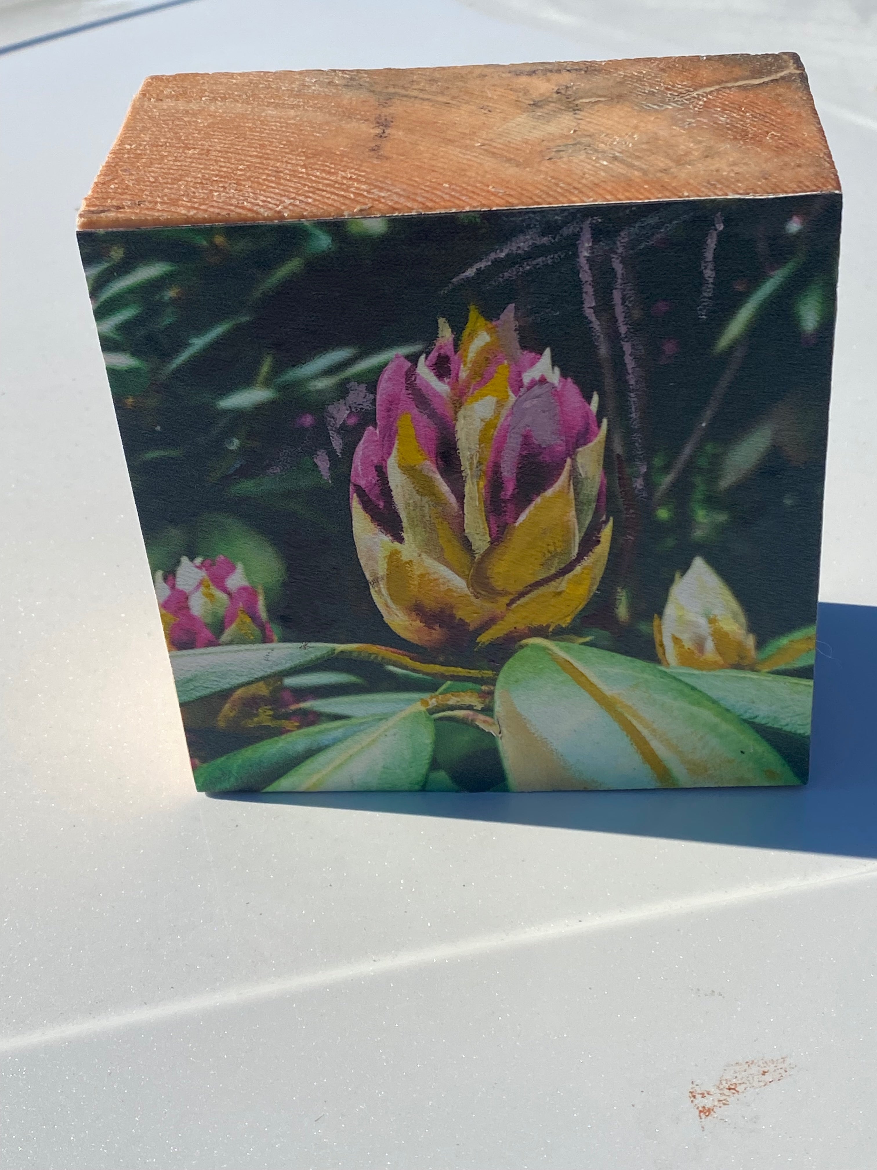 Long Island's Queen: Azalea Woodblock Painting