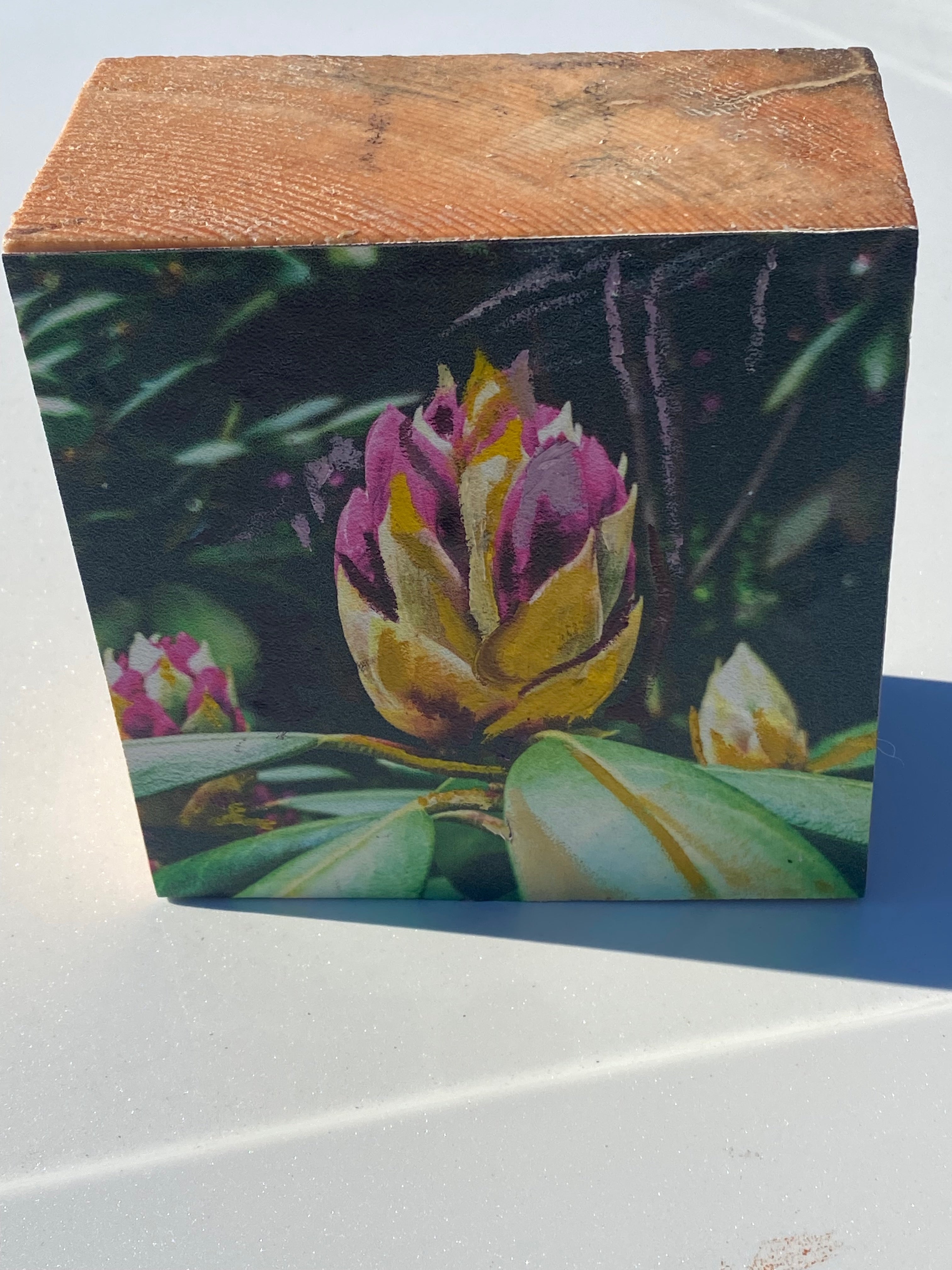 Long Island's Queen: Azalea Woodblock Painting