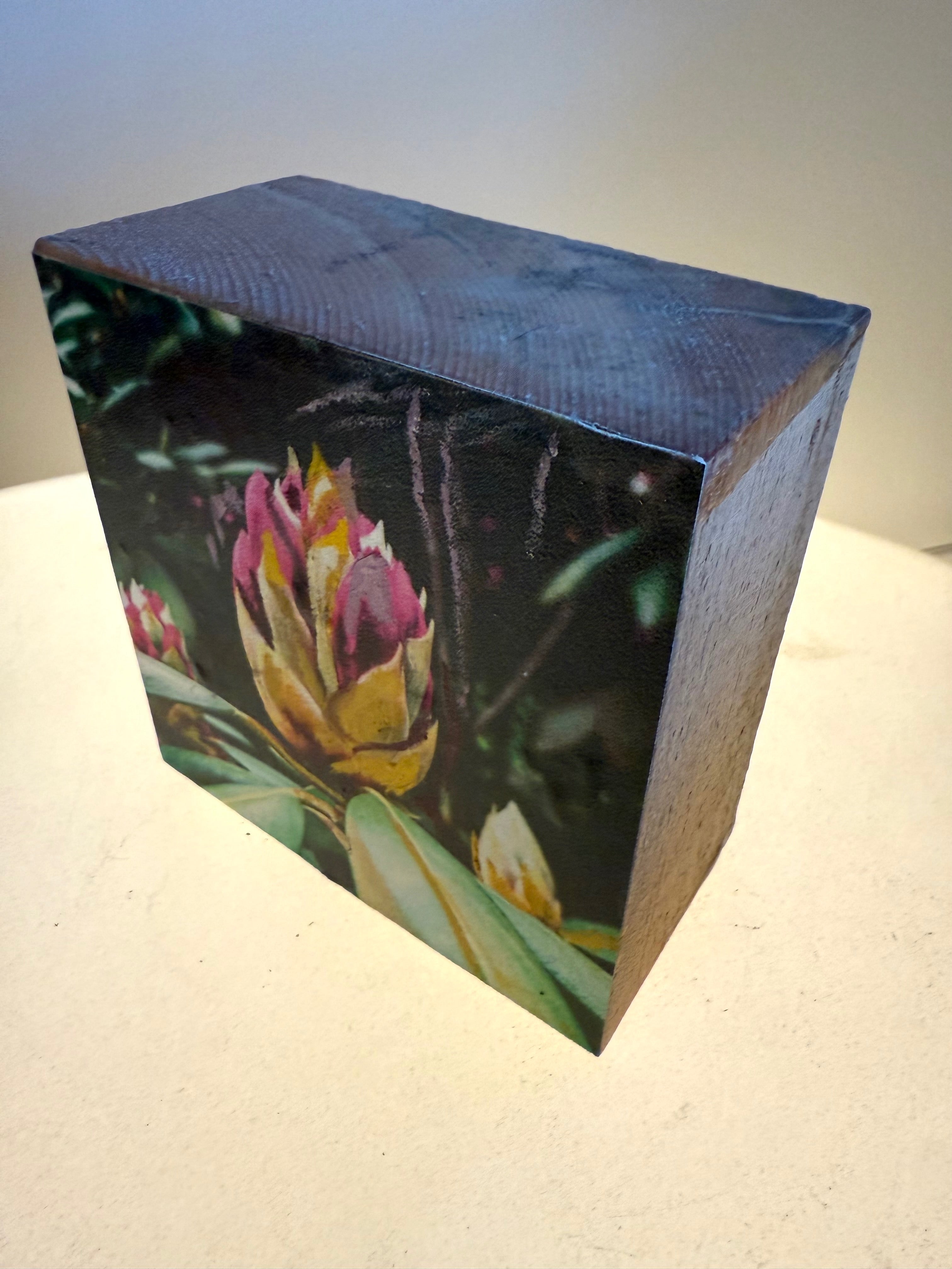 Long Island's Queen: Azalea Woodblock Painting