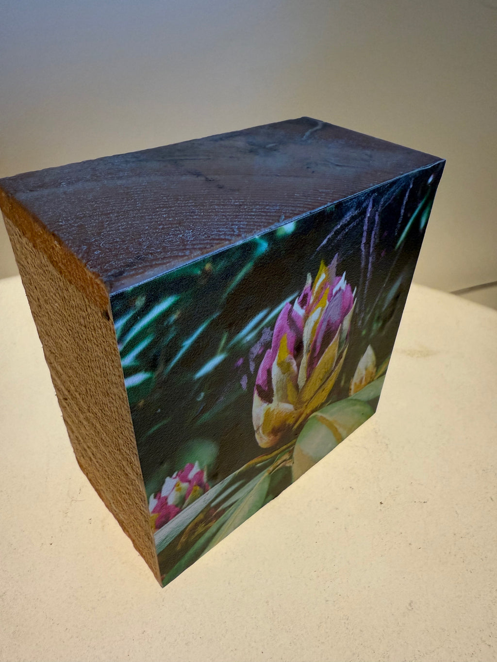 Long Island's Queen: Azalea Woodblock Painting
