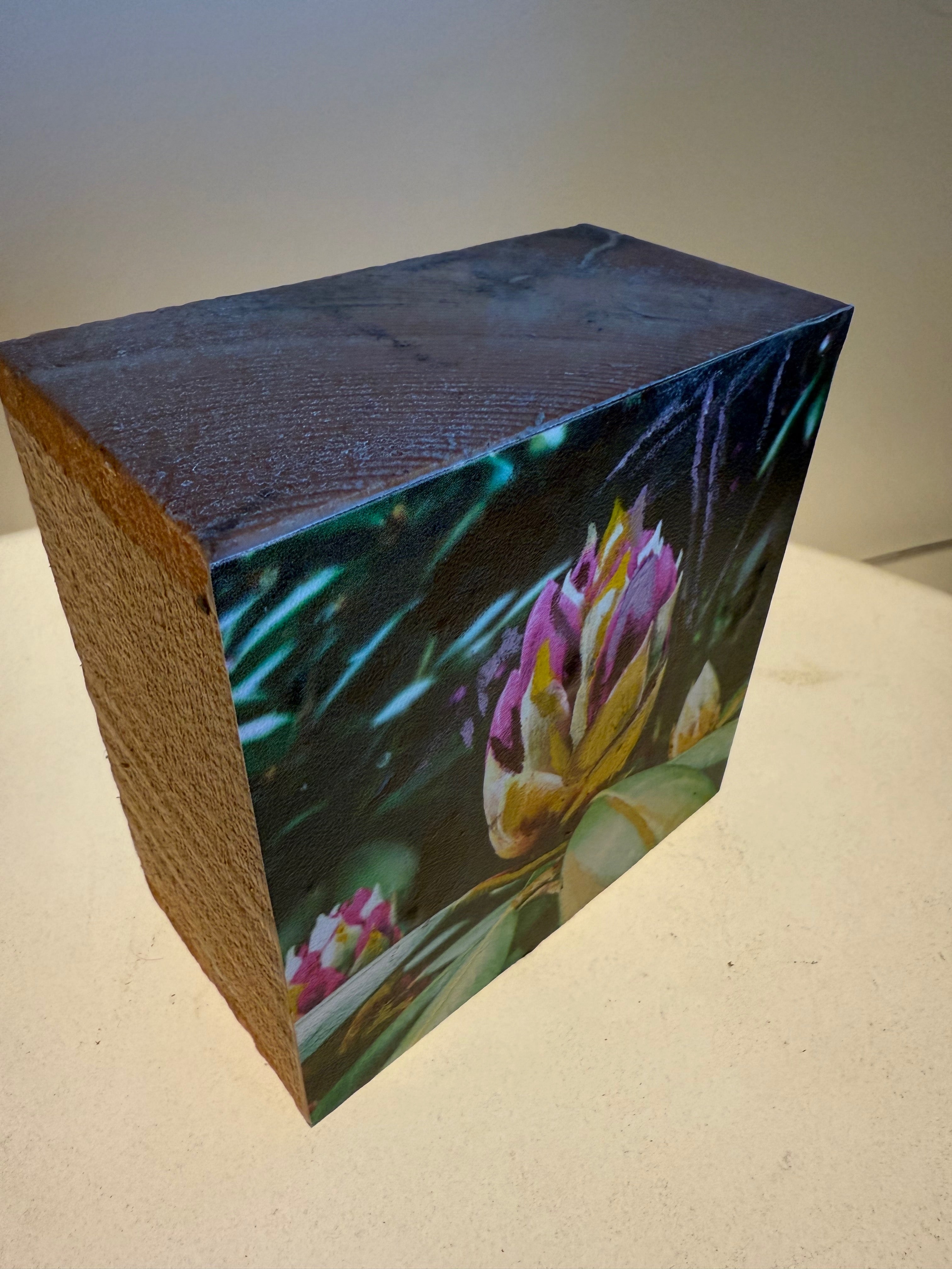 Long Island's Queen: Azalea Woodblock Painting