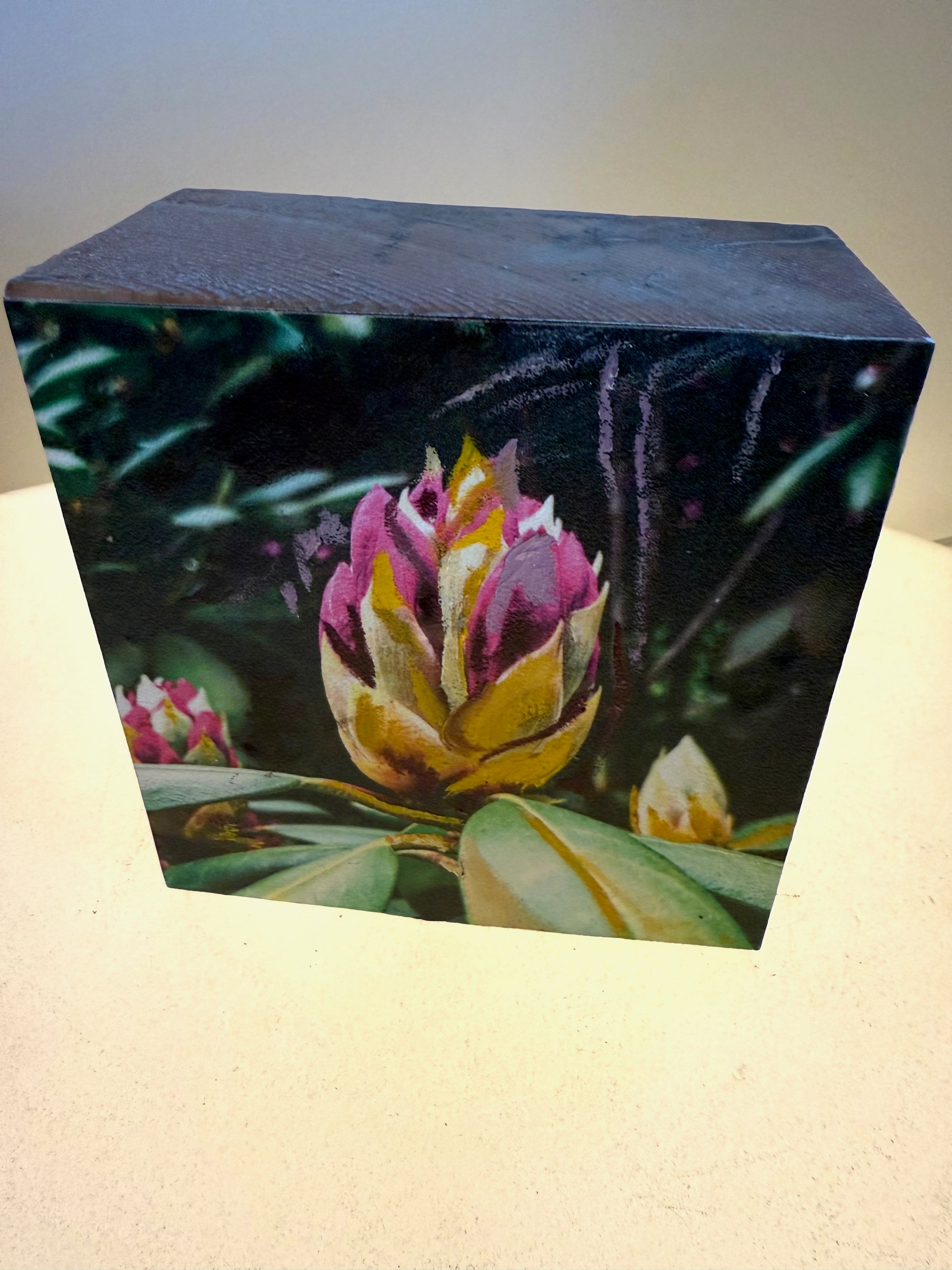 Long Island's Queen: Azalea Woodblock Painting