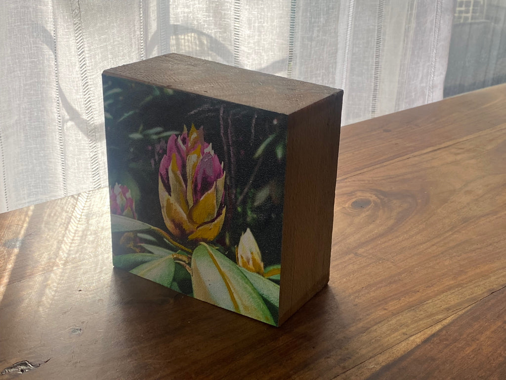 Long Island's Queen: Azalea Woodblock Painting